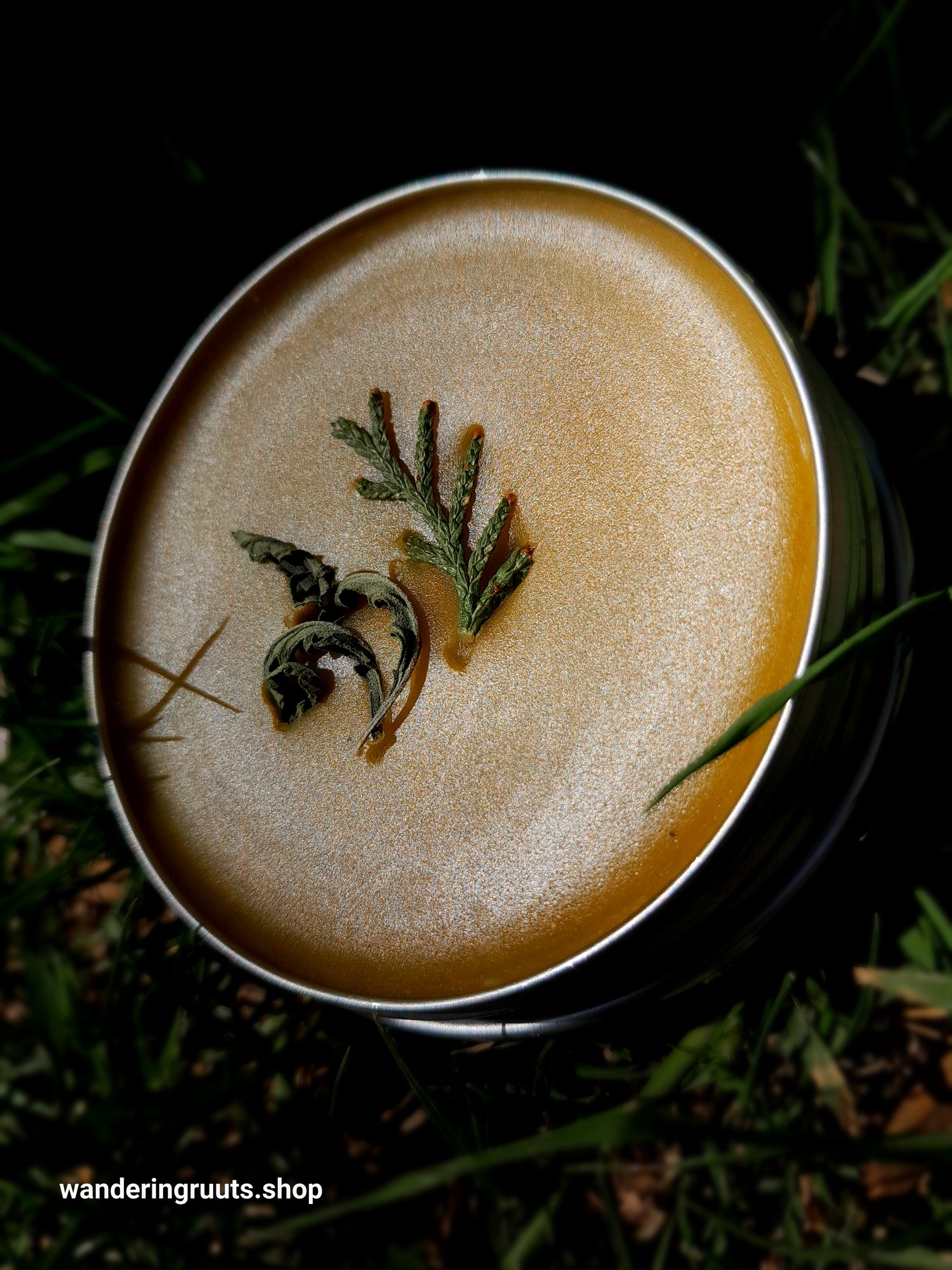 Herbal Salves 2 oz Tins