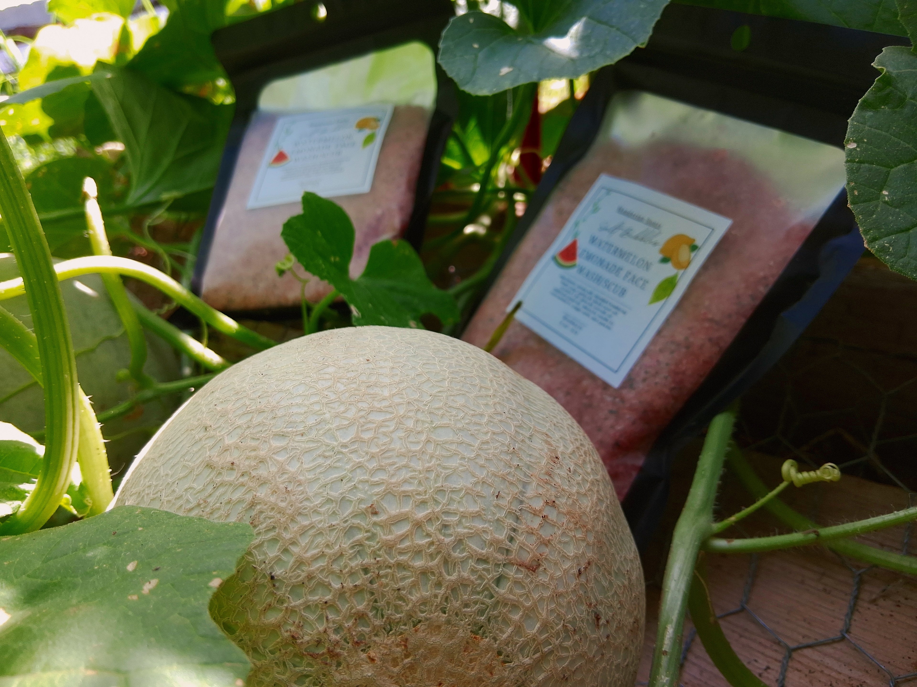 Watermelon🍉Lemonade🍋 Face Wash/Scrub Blend 1/2 lb Smell-Proof Bag w. Scrub Pouch  Mix & match 2 for $25!