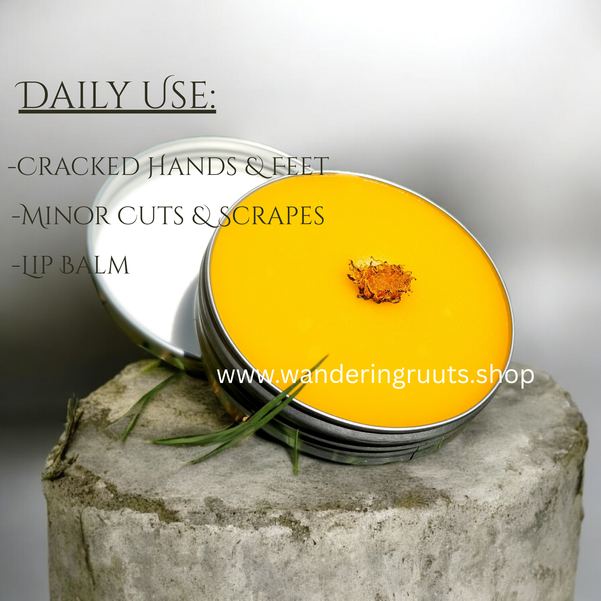 Dandelion Salve/Balm