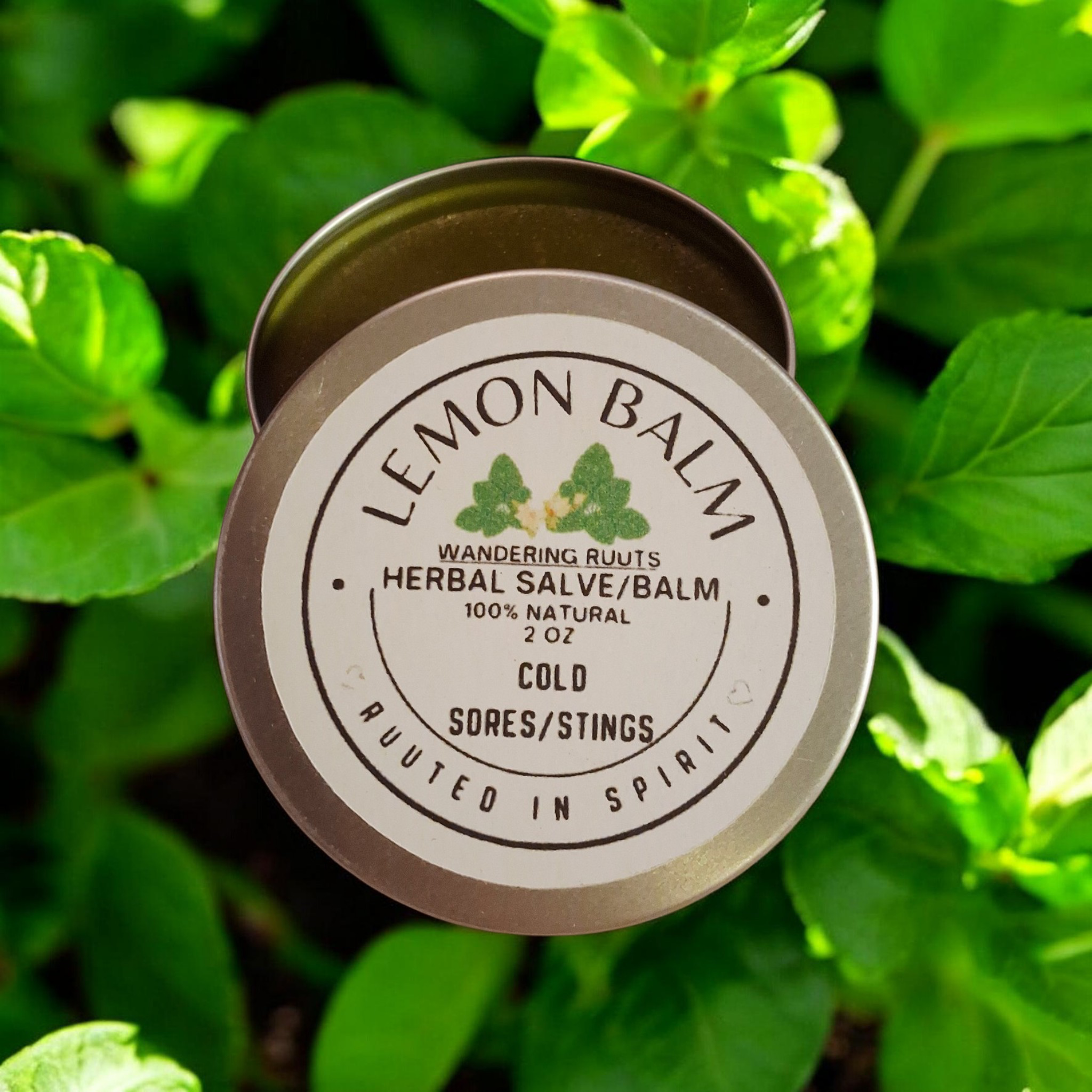 Lemon Balm🪴 Salve/Balm